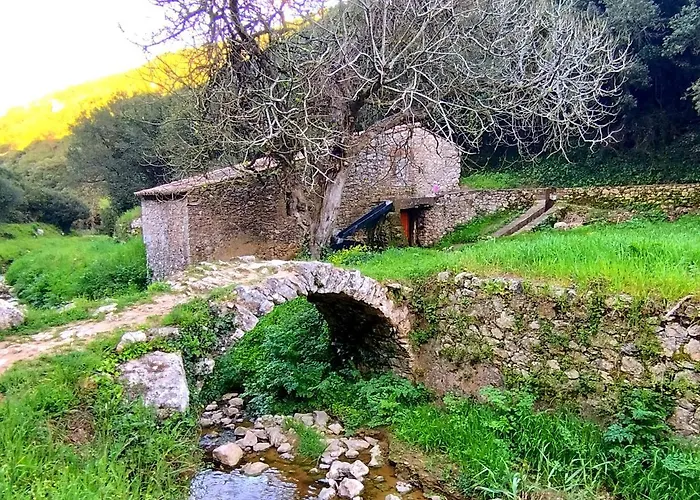 Sunset Street House 펜션 로리냐